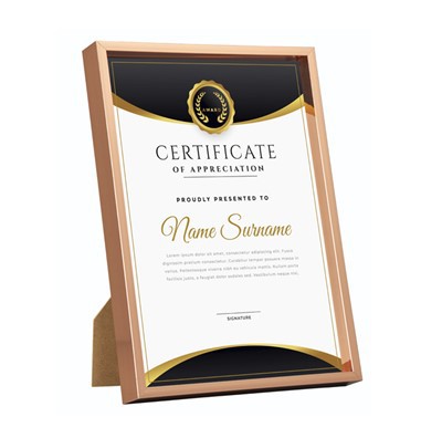 環境に優しいプラスチックフレーム